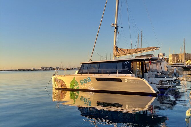 Catamaran Mallorca Eco Experience - Key highlights that matter in real life