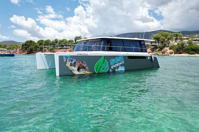 Catamaran Mallorca Eco Experience - From Real Club Náutico de Palma to Illetas: your first swim and snorkel session