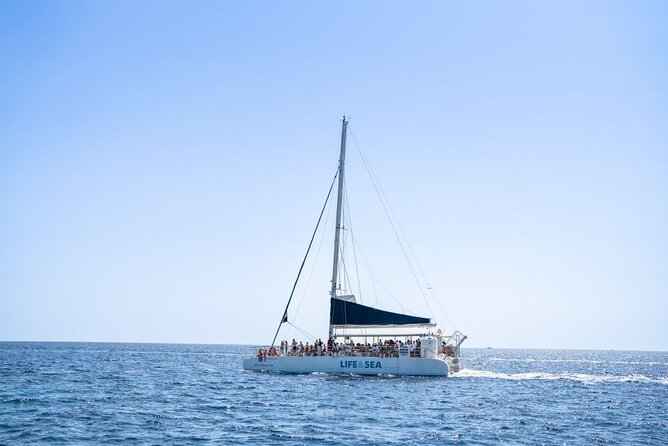 Catamaran with BBQ in the Bay of Palma - Snorkeling Gear and Underwater Reality Check
