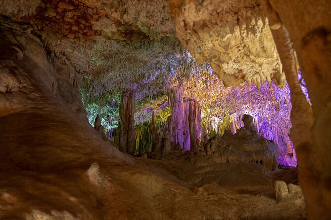 Caves Drach Boat Trip from Alcudia with Return Bus and Tickets - Lake Martel concert and the short boat ride: the part that can win or divide people