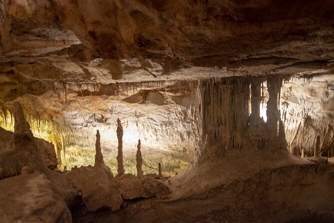 Caves Drach Boat Trip from Alcudia with Return Bus and Tickets - Who this tour fits well, and who might find it a mismatch