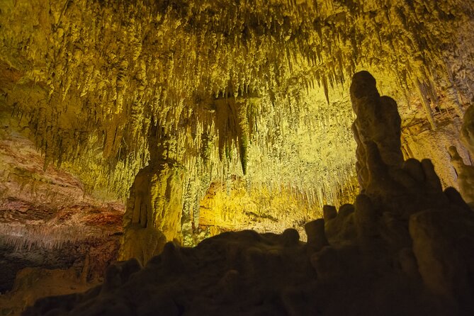 Caves Drach Boat Trip from Alcudia with Return Bus and Tickets - Alcudia to the caves: meeting point and the bus ride reality check