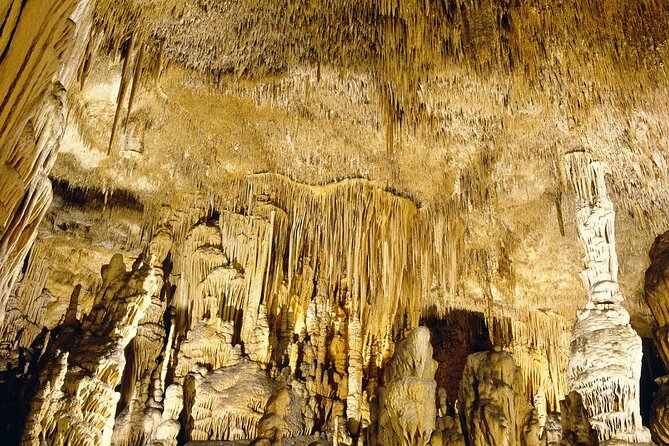 Caves Drach Tour & Return Transfer from Cala Dor-Calas Mallorca - Majorica Pearls stop in Porto Cristo: what you get, and what to watch