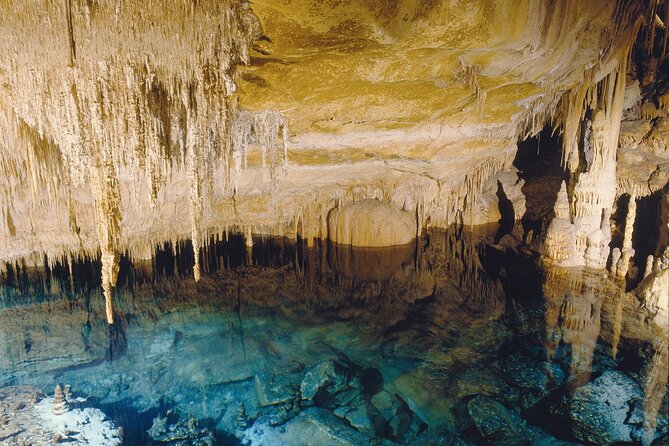 Caves Drach Tour & Return Transfer from Cala Dor-Calas Mallorca - Price and value: $67.49 for a full half-day program