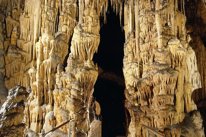 Caves Drach Tour & Return Transfer from Cala Dor-Calas Mallorca - Lake Martel lights and the music concert inside the cave