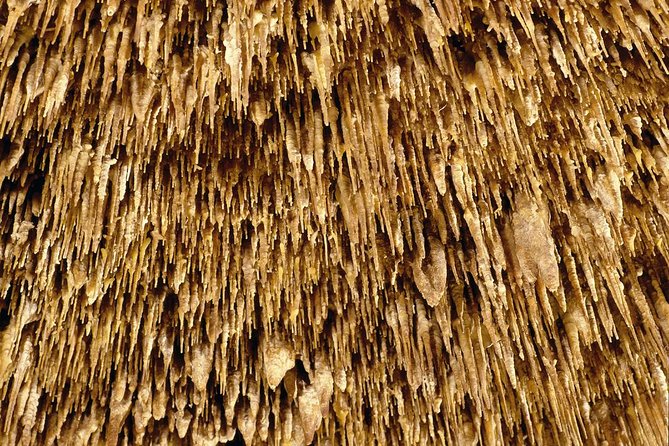 Caves of Drach Half-Day Tour with Boat Trip and Music Concert - Lake Martel: the light show, the classical concert, and what the timing really feels like