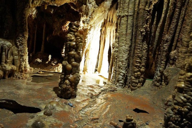Caves of Genova Admission in Palma de Mallorca - Cuevas de Genova Near Palma: A Fast Cave Break You Can Actually Fit