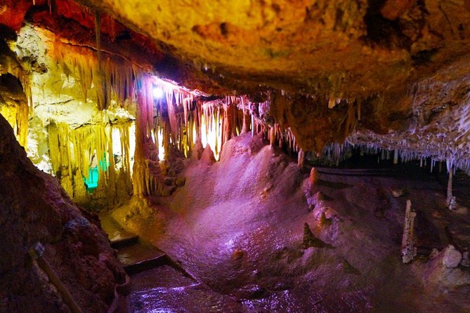 Caves of Genova Admission in Palma de Mallorca - Price and Value: How $14.40 Makes Sense for a 20-Minute Ticket