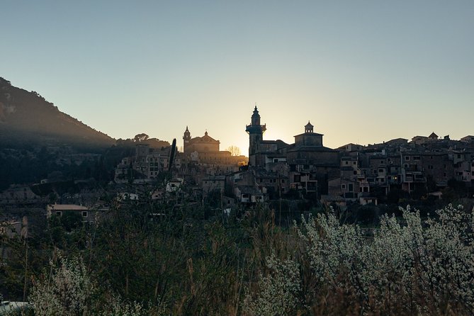 City Discovery: Valdemossa Private Day Trip - Price and Logistics: What You Pay For, and What You Might Need to Confirm