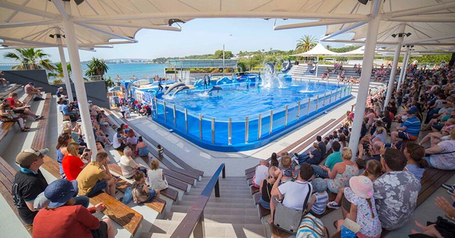 Costa d'en Blanes: Entry Ticket for Marineland Mallorca - Getting There and Planning Around the Last Entry at 12:45
