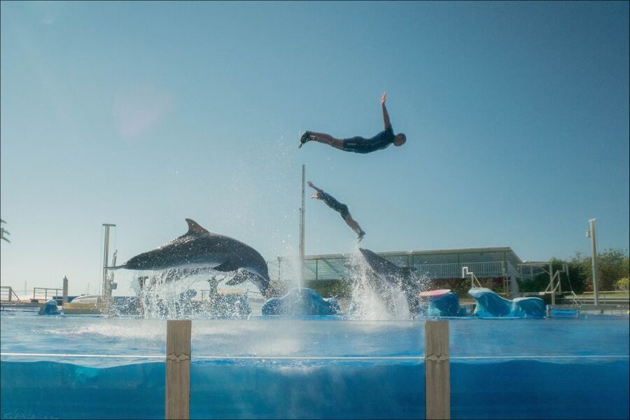 Costa d'en Blanes: Entry Ticket for Marineland Mallorca - Aquariums With Freshwater, Saltwater, and Sharks