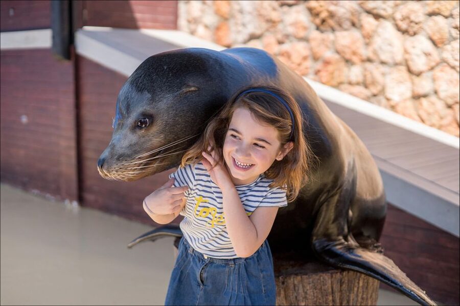 Costa d'en Blanes: Entry Ticket for Marineland Mallorca - Food and Souvenirs: Plan for Prices and Keep It Simple