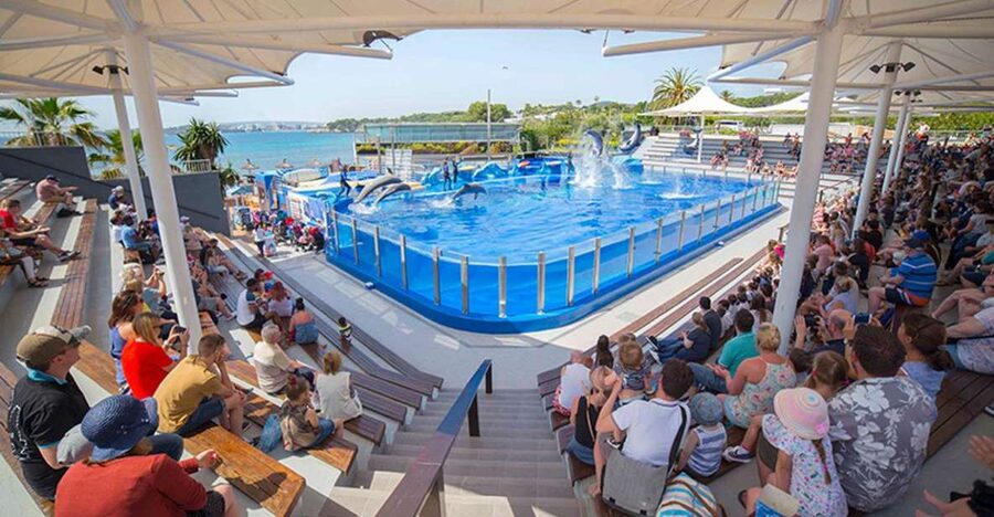 Costa d'en Blanes: Entry Ticket for Marineland Mallorca - Your Day at Marineland: Shows First, Then Habitats