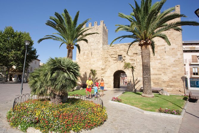 Discover Alcudia old town on a private walking tour - Stop in Alcudia Old Town: Lanes, Town Hall, and Seeing the Town as a System
