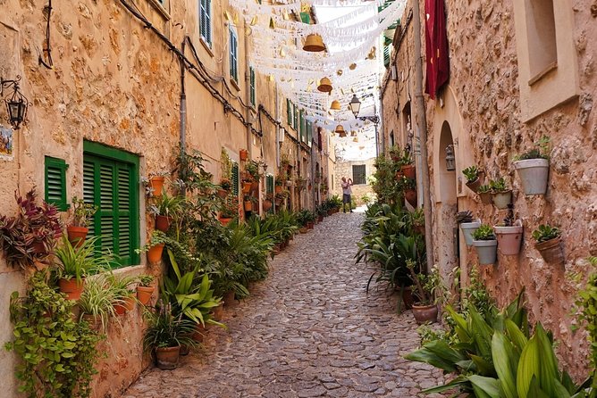 Discover the major cultural attractions of Palma De Mallorca on a Private Tour - Mercat de S’olivar: an open-air break with real local products