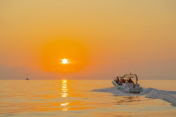 Dolphin watching by boat - Departure From Alcúdia Harbor: Timing and What to Expect