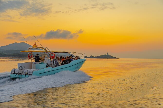 Dolphin watching by boat - Should You Book This Dolphin Watching Tour?