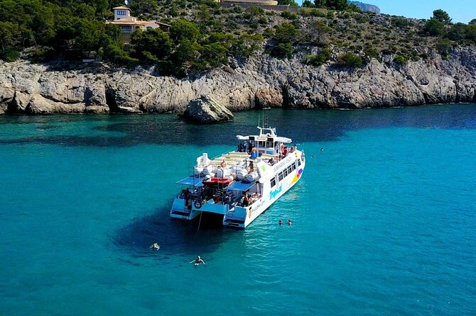 Dolphin Watching in Mallorca (Paguera) - Dolphin watching in Paguera feels like a real sea day