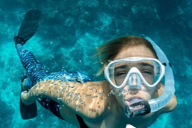 Dolphin Watching in Mallorca (Paguera) - Stop 1 Peguera: underwater search, dolphin sightings, then a swim in clear water