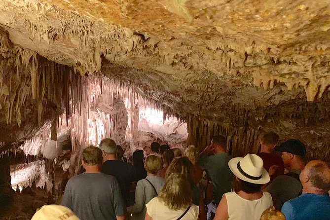 Drach Caves and Pearl Shop Mallorca Half Day Tour - Porto Cristo Stop: A 30-Minute Real-Place Break