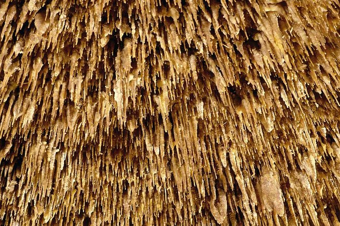 Drach Caves and Pearl Shop Mallorca Half Day Tour - The Bus Ride Experience: Comfort, Plus a Few Things to Watch