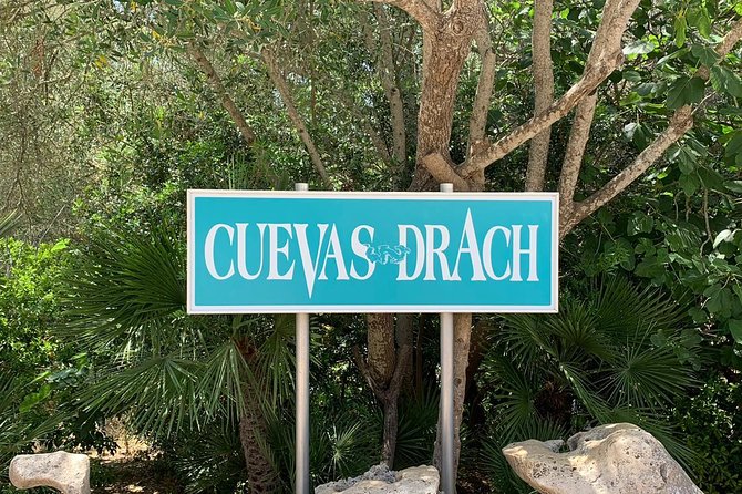 Drach Caves and Pearl Shop Mallorca Half Day Tour - How This Tour Feels in Practice: Time, Pace, and Crowd Management