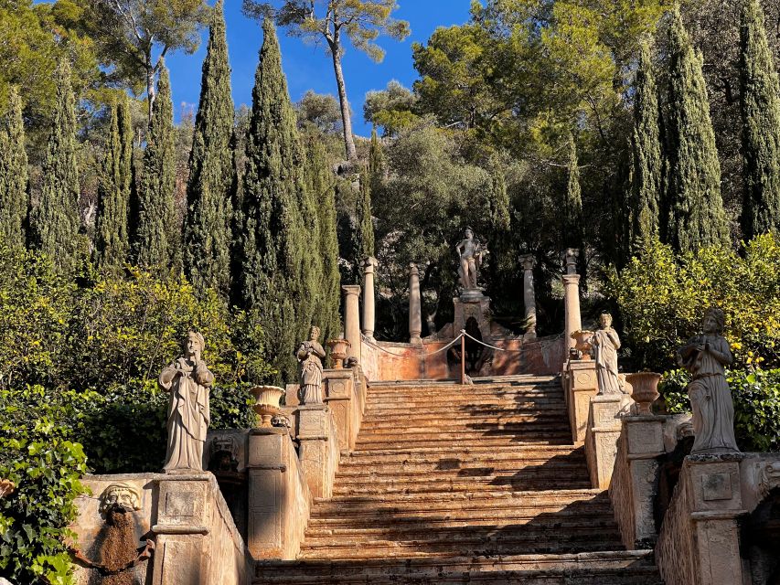 Embrace the enchantment of Mallorca's almond blossom season - Key things to know before you go