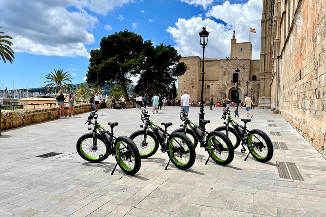 Exclusive Fat Tire E-Bike Tour in Palma - Parc de la Mar and the cathedral walls: the view beneath the big landmark
