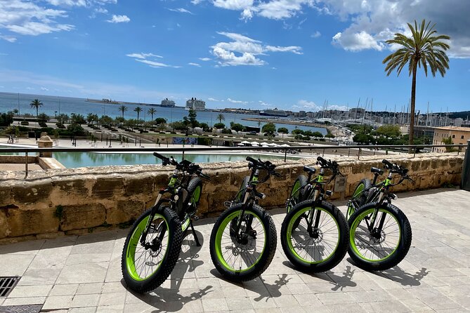 Exclusive Fat Tire E-Bike Tour in Palma - Portixol, or Passeig Portitxol: small-town sea vibe in Palma