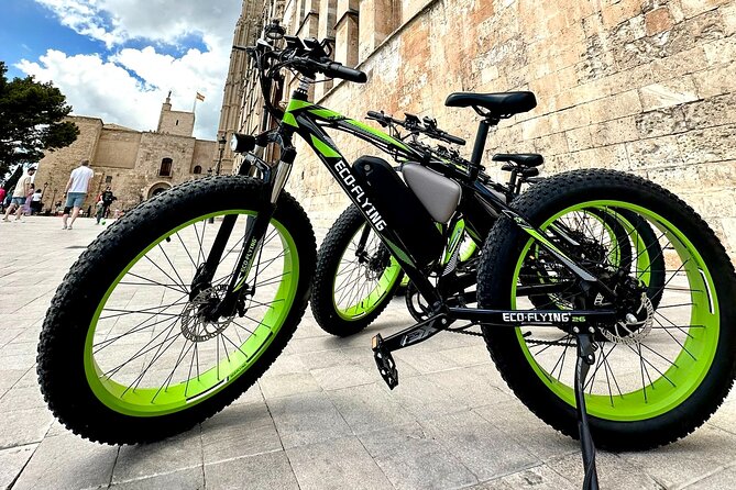 Exclusive Fat Tire E-Bike Tour in Palma - Passeig des Born: an elegant avenue walk-by-bike