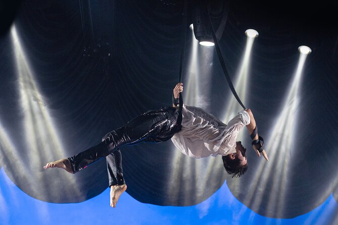 EXHIBIT - Acrobatics, Dance & Art - Grand Theatre seating and how the performance gets your attention fast