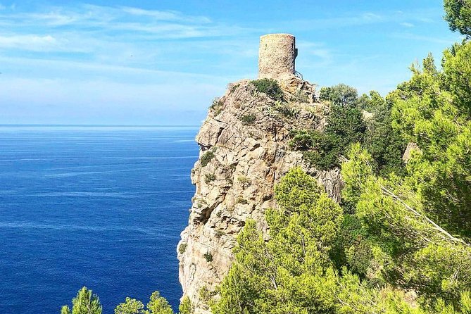 Explore Mallorca in Your Own Formula One Car - Stop Two: Palma de Mallorca port break (quick but useful)