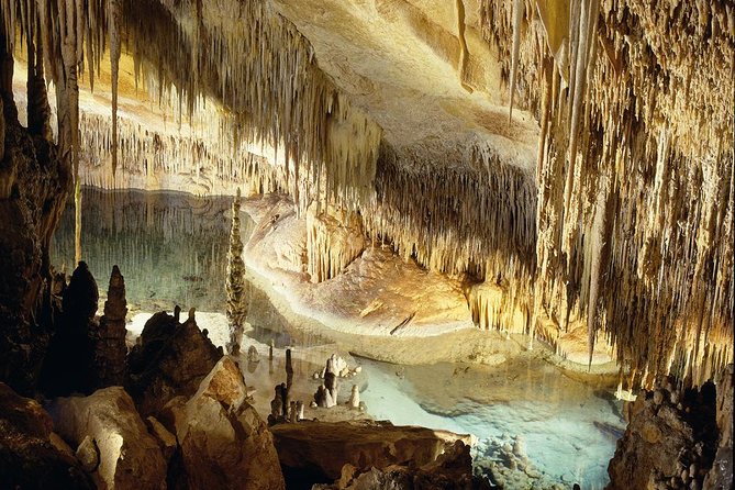 Explore Mallorca: Majorica Pearl Shop and Caves of Drach - Lake Martel concert and light show: the moment people remember