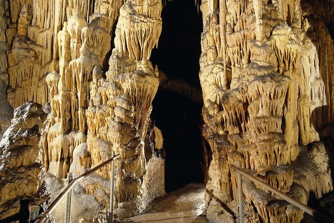 Explore Mallorca: Majorica Pearl Shop and Caves of Drach - Price and logistics: where the value really comes from