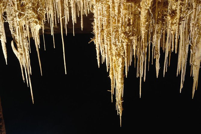 Explore Mallorca: Majorica Pearl Shop and Caves of Drach - Getting there from Palma: the pickup flow that matters
