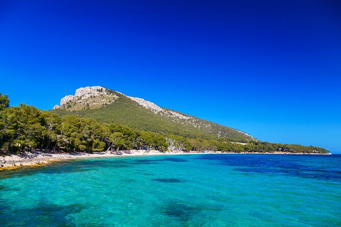 Formentor with boat trip + local market - The coach experience: pickup, group size, and why timing can feel big
