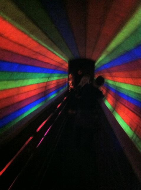 From Alcudia: Day Trip to Katmandu Adventure Park - 4D and 5D cinema shows, when the screen feels close enough to touch