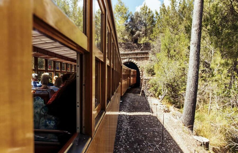 From Alcúdia: Soller Train and Tram Half Day Tour - Key things that make this tour worth your afternoon