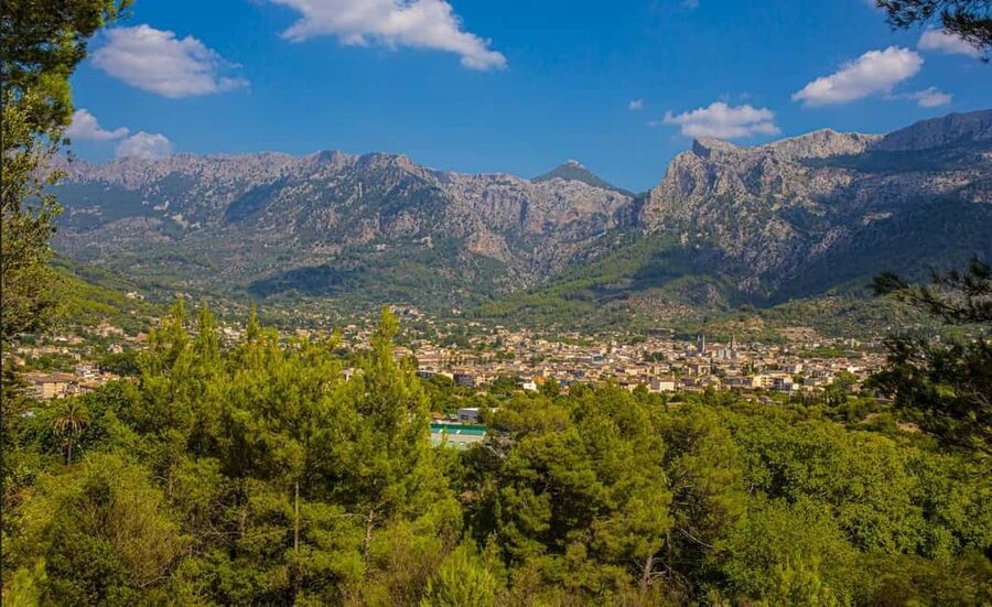 From Alcúdia: Soller Train and Tram Half Day Tour - Port de Sóller harbor time: bay views before you head home