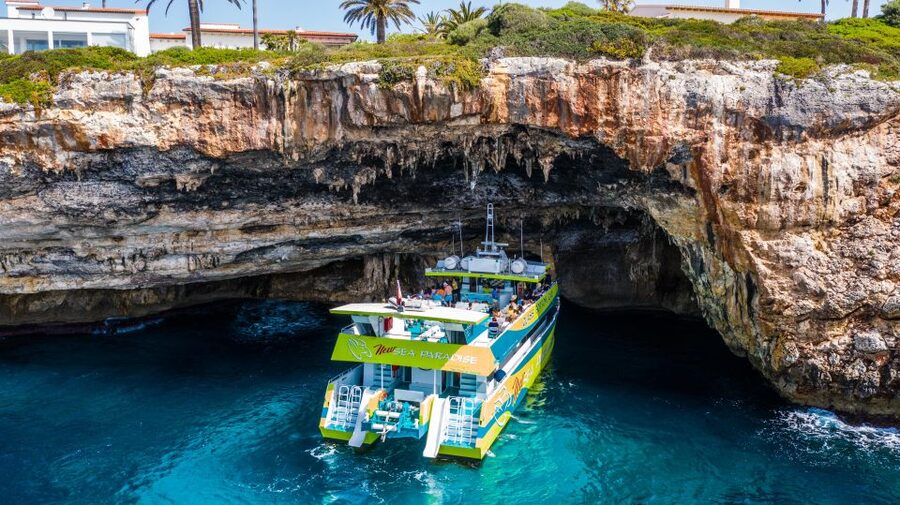 From Cala Bona: East Coast Glass-Bottom Boat Trip - Glass-bottom reality check: what you’ll see from the windows