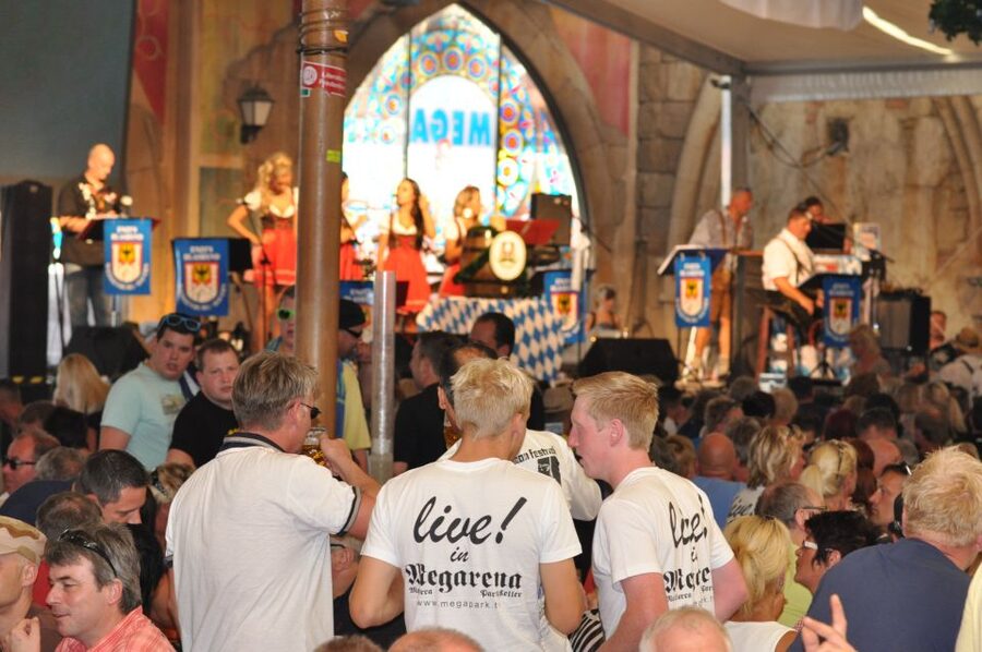 From Can Picafort: Ballermann Night Tour by Bus - What the German-speaking guide does for you