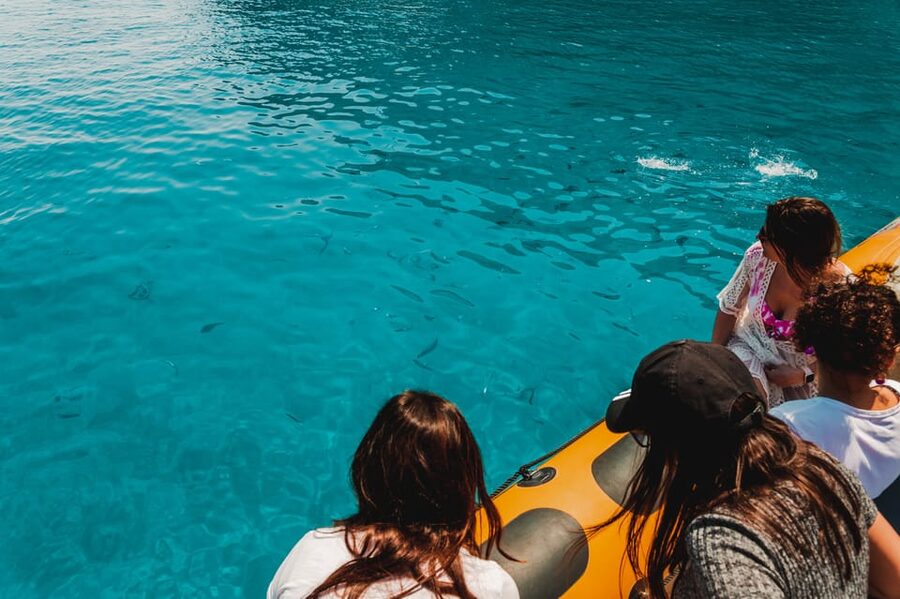 From Can Picafort: Dolphin Watching and Cave Boat Trip - Dolphin Watching: How the Crew Improves Your Chances