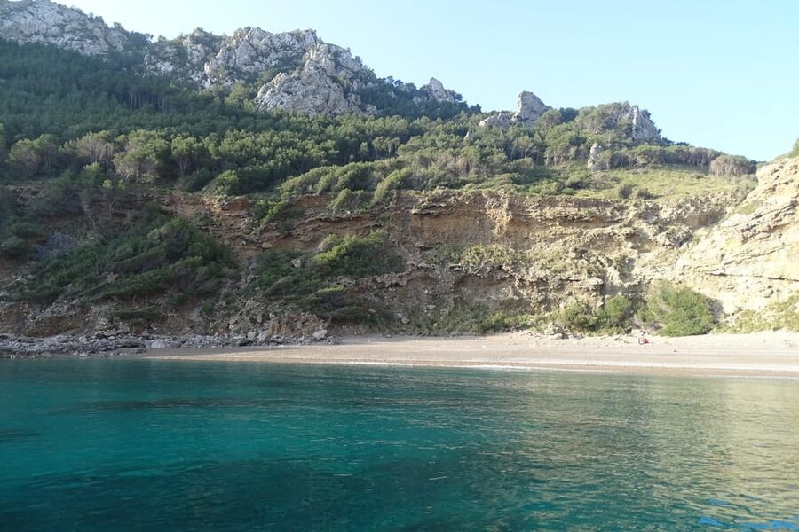 From Can Picafort: Dolphin Watching and Cave Boat Trip - From Can Picafort to Cabo de Formentor: What the Ride Feels Like