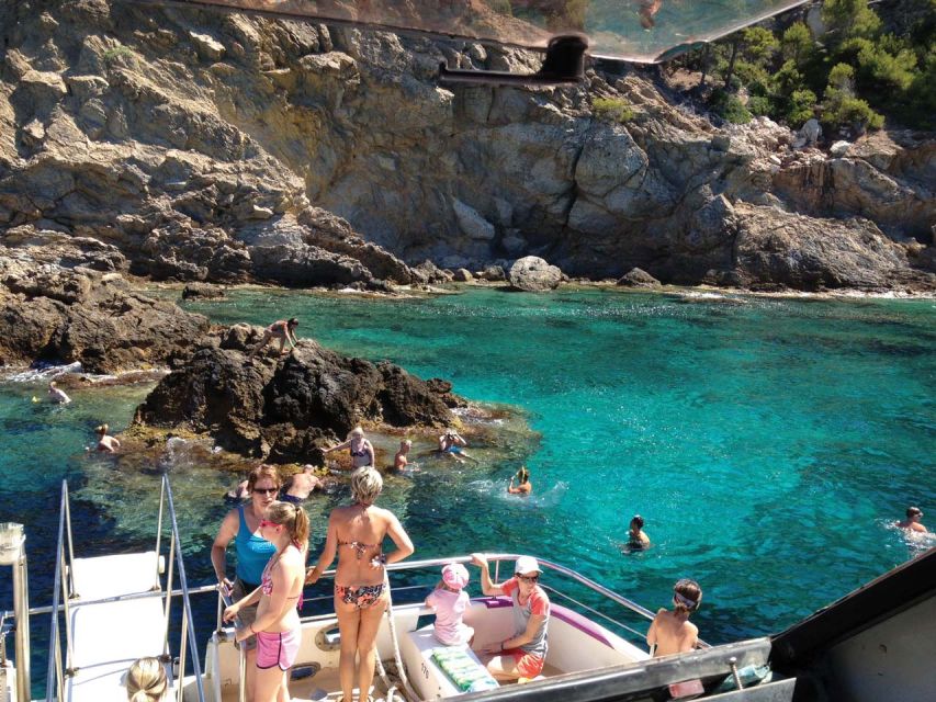 From Palma: 3-Hour Morning Dolphin Watching Boat Tour - The cove swim: short, sweet, and worth packing for