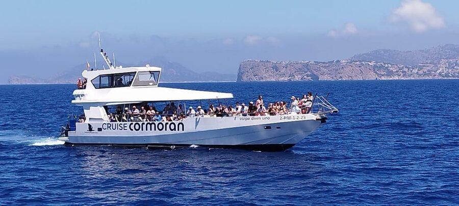 From Palma: 3-Hour Morning Dolphin Watching Boat Tour - Price, $63 value, and when the transfer makes sense