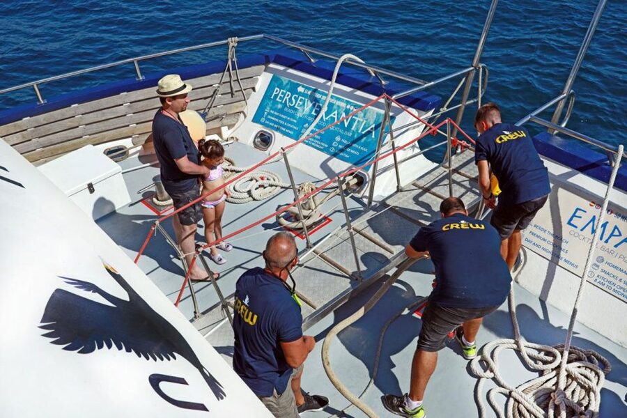 From Palma: 3-Hour Morning Dolphin Watching Boat Tour - Who this dolphin-and-swim trip suits best (and who might rethink it)