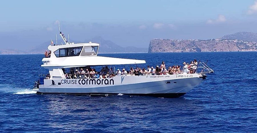 From Palma: Afternoon Dolphin-Watching Boat Tour - Key things to notice before you go