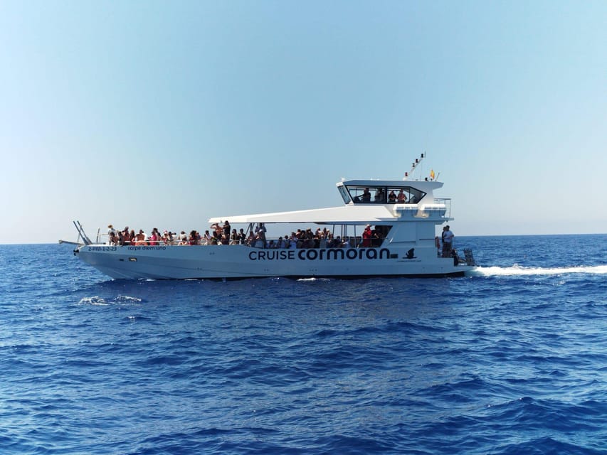 From Palma: Afternoon Dolphin-Watching Boat Tour - The swim stop and snorkel gear: bring the right stuff