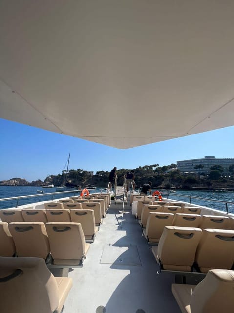 From Palma: Afternoon Dolphin-Watching Boat Tour - Price and value: what you get for about $63