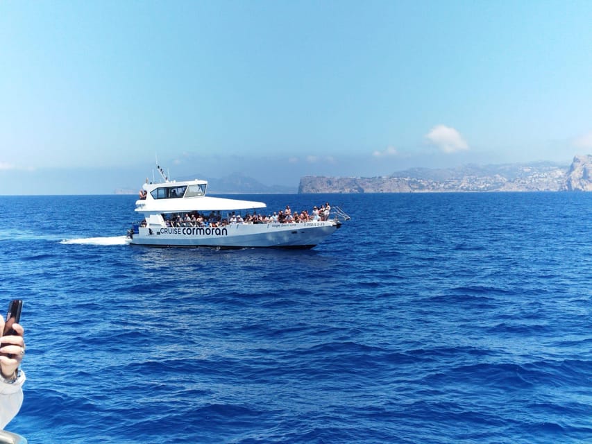 From Palma: Afternoon Dolphin-Watching Boat Tour - Who should book, and who should skip it